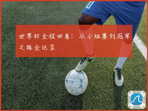 世界杯全程回看：从小组赛到冠军之路全记录
