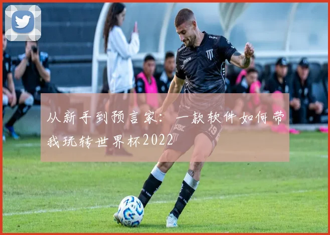 从新手到预言家：一款软件如何带我玩转世界杯2022