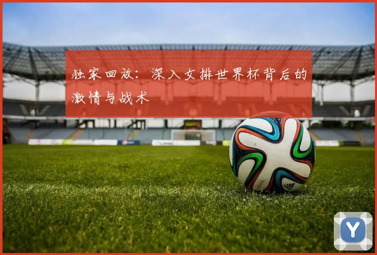独家回放：深入女排世界杯背后的激情与战术