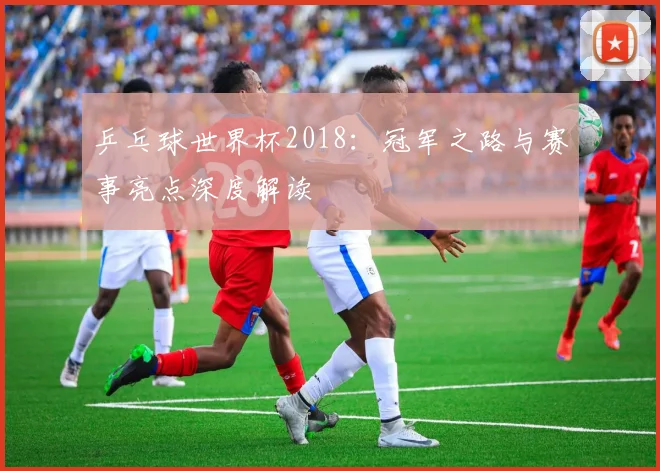 乒乓球世界杯2018：冠军之路与赛事亮点深度解读