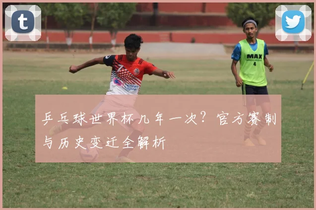 乒乓球世界杯几年一次？官方赛制与历史变迁全解析