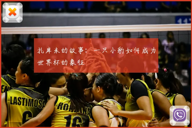 扎库米的故事:一只小豹如何成为世界杯的象征