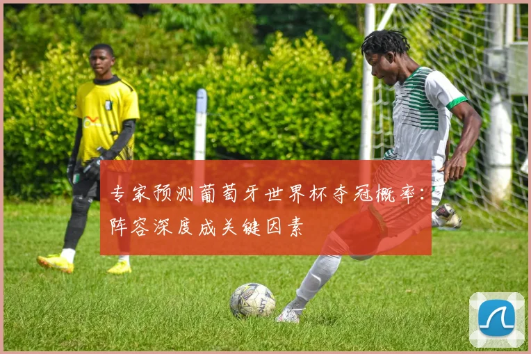 专家预测葡萄牙世界杯夺冠概率：阵容深度成关键因素