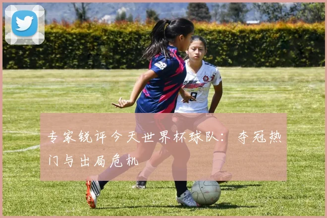 专家锐评今天世界杯球队:夺冠热门与出局危机