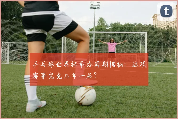 乒乓球世界杯举办周期揭秘：这项赛事究竟几年一届？