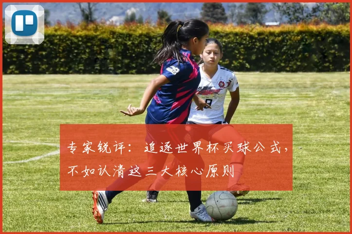 专家锐评：追逐世界杯买球公式，不如认清这三大核心原则