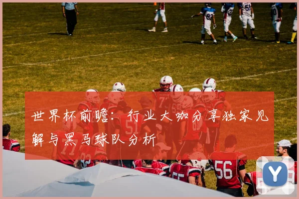 世界杯前瞻：行业大咖分享独家见解与黑马球队分析
