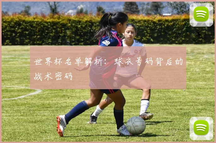 世界杯名单解析：球衣号码背后的战术密码