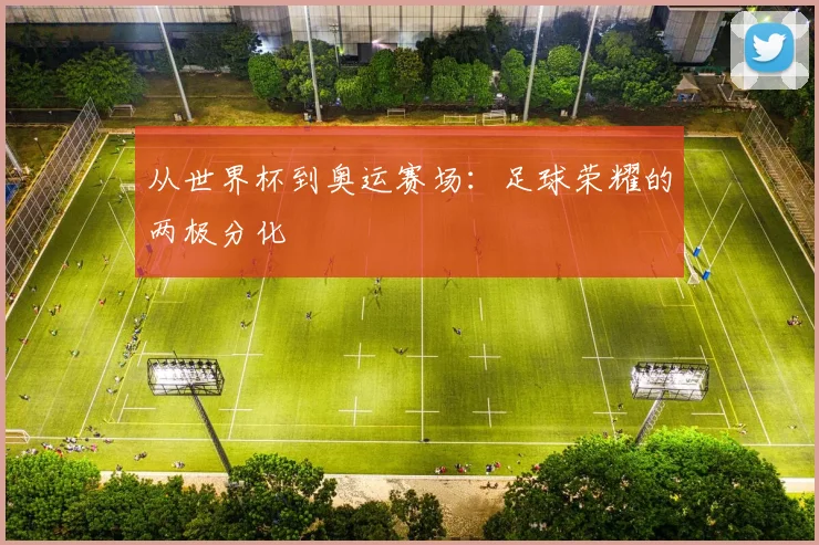 从世界杯到奥运赛场:足球荣耀的两极分化