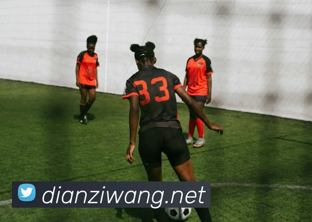 mksports在线登录入口平台生态图